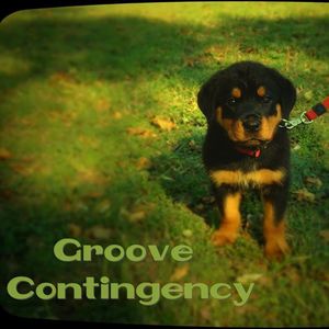 Groove Contingency Tickets, Tour Dates and %{concertOrShowText}