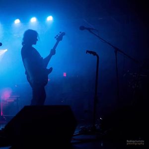 PIGS: Canada's Most Authentic Pink Floyd Tribute