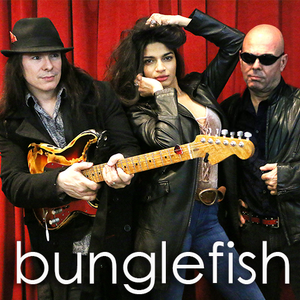 Billets, dates de tournée et concerts pour Bunglefish