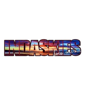 InDaSkies