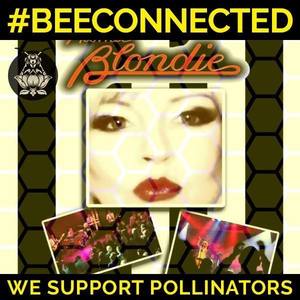 Atomic Blondie Tickets, Tour Dates and Concerts