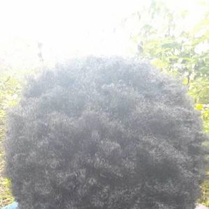 New Life Records Label Tickets, Tour Dates and Concert