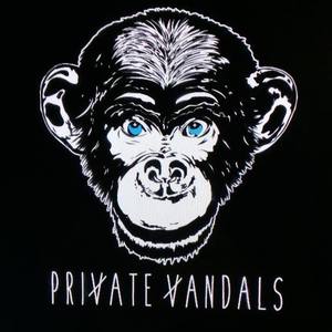 Private Vandals Tickets, Tour Dates and Concerts