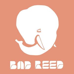 Bad Reed Tickets, Tour Dates and %{concertOrShowText}