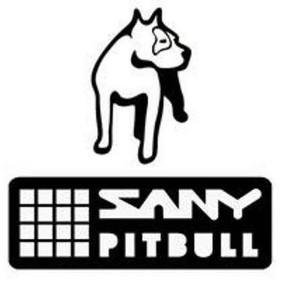 Sany Pitbull Tickets, Tour Dates and %{concertOrShowText}