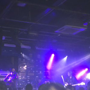 The Milk at Manchester, United Kingdom in Manchester Gorilla 2017