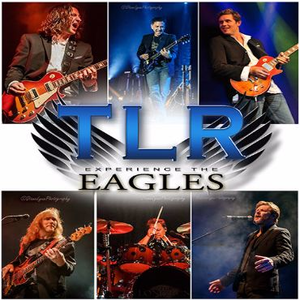 THE LONG RUN - Experience The Eagles