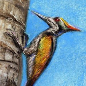 artist