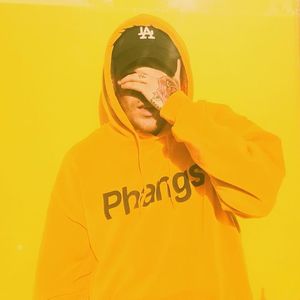 PHANGS