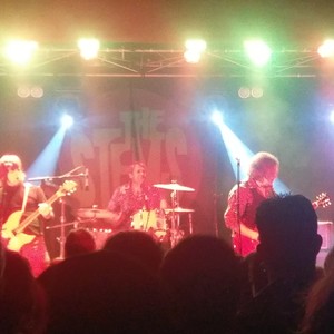 Stems at Thornbury, Australia in The Croxton Bandroom 2017
