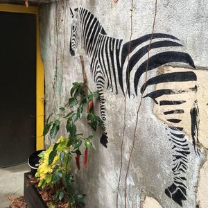 artist