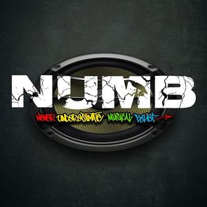 Never Underestimate Musical Belief (N.U.M.B) OFFICIAL PAGE Tickets, Tour Dates and %{concertOrShowText}