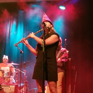 The Alpaca Gnomes at Fairfield, CT in Fairfield Theatre Company 2018