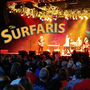 The Surfaris