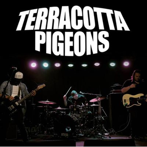 TERRACOTTA PIGEONS