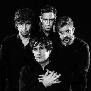 The Mountain Goats