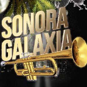 Salsa Kingz BAND