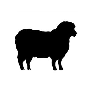 The Band Sheep