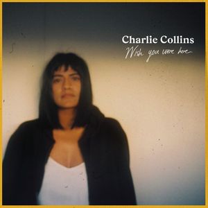 Charlie Collins