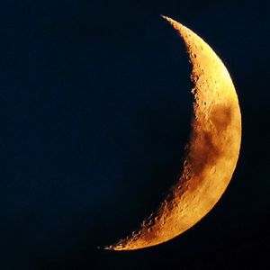 Moonjam