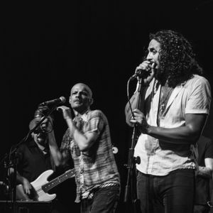 Johnny Hayes & The Loveseats