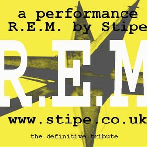 Stipe: REM Tribute Band