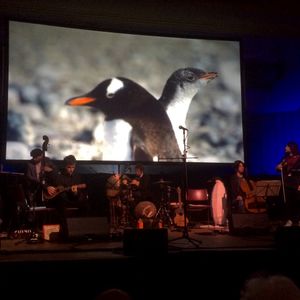 PENGUIN CAFE at Hackney Arts Centre,  UNITED KINGDOM in Hackney Arts Centre 2018