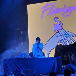 Flamingosis at St Louis, MO in The Pageant 2018