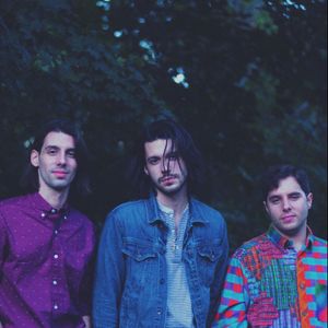 the Rareflowers