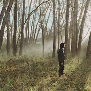 WeAreForests