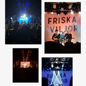 Friska viljor at Salzburg, Austria in Rockhouse 2019