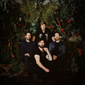 Foals