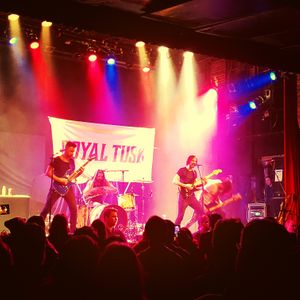 Royal Tusk at Cincinatti, OH in Bogart's 2019