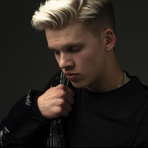 Zauntee