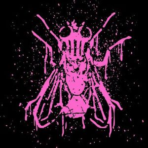pink fly