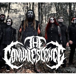 The Convalescence