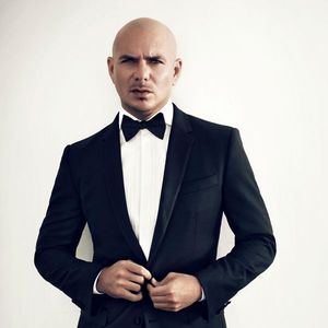 Pitbull