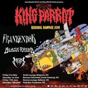 King Parrot
