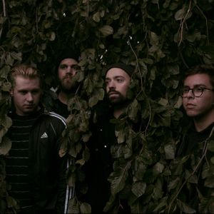 Valleyheart