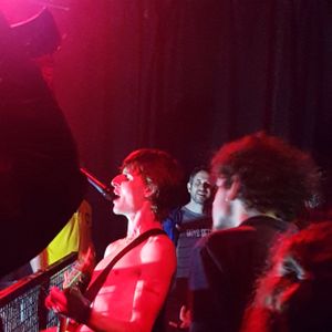 Cabbage at Norwich, United Kingdom in The Waterfront Studio 2019