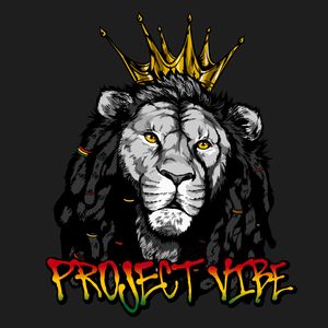 Project Vibe