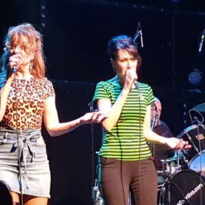Gruppo Sportivo at Amstelveen, Netherlands in P60 2019