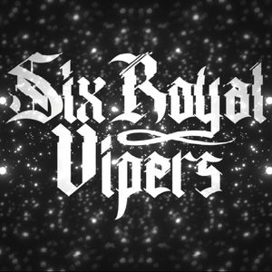 Six Royal Vipers