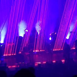 Groovy Aardvark at Montreal, Canada in MTELUS 2019