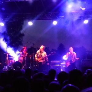 Cock Robin at Miribel, France in ESPLANADE DE LA MADONE 2019