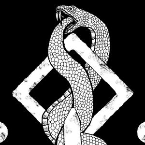 We Are Not Our Bodies