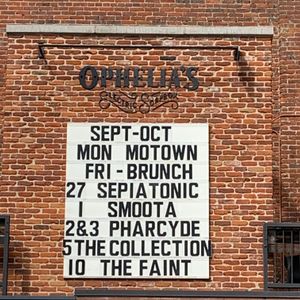 David Wimbish & The Collection at Denver, CO in Ophelia's Electric Soapbox 2019