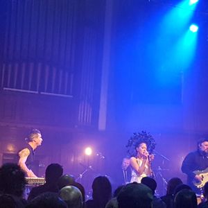 Lamb at Glasgow, United Kingdom in Saint Luke's 2019