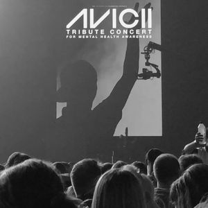 Avicii at Stockholm, Sweden in Friends Arena 2019